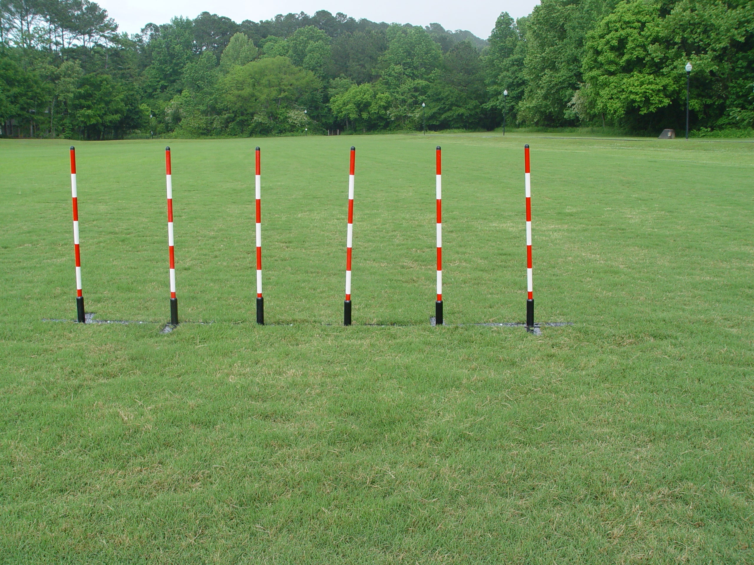 *Pole Space Adjustable Weave Poles - Dog Agility USA