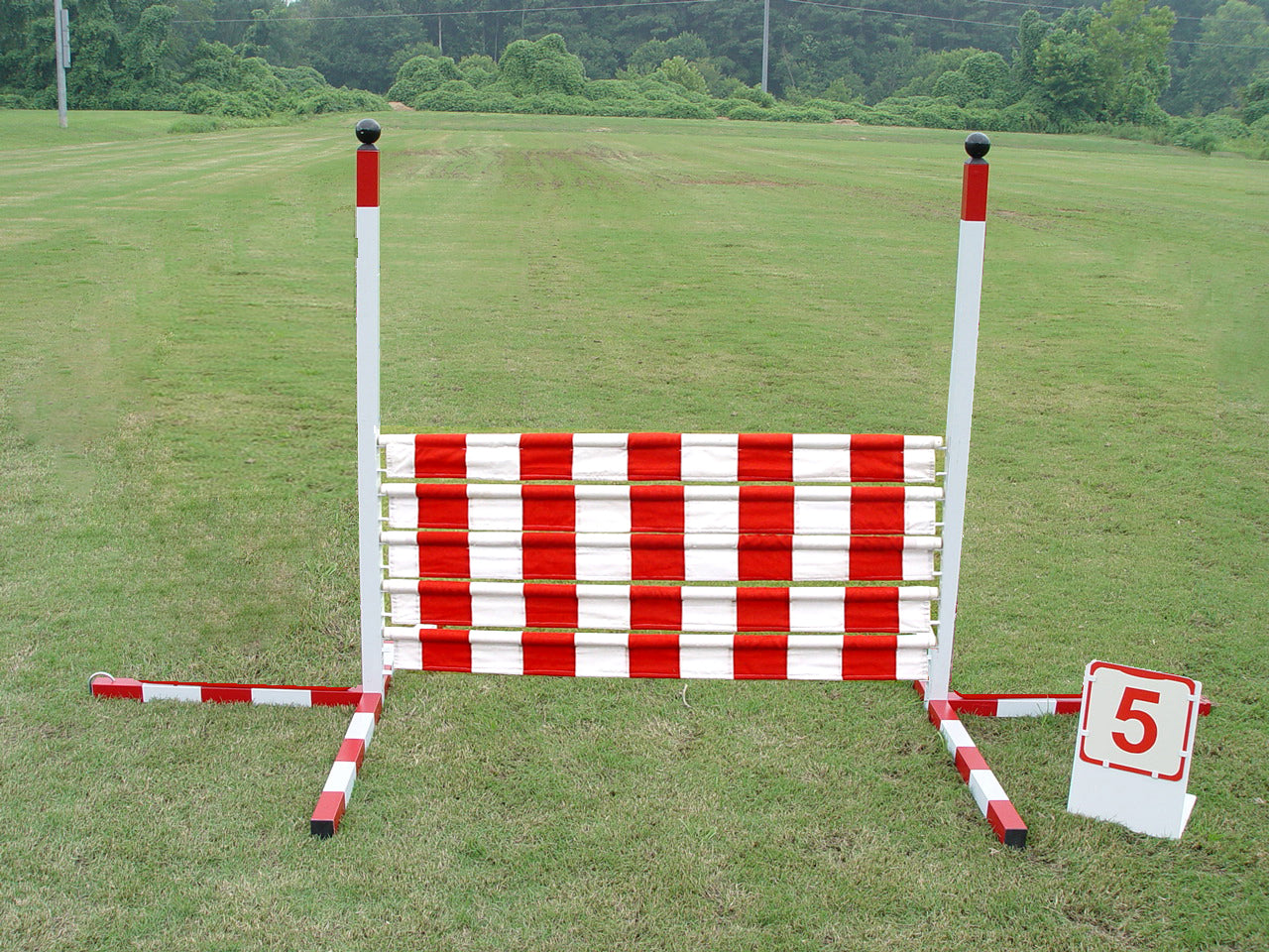 *Dog Agility Panel Jump - Dog Agility USA