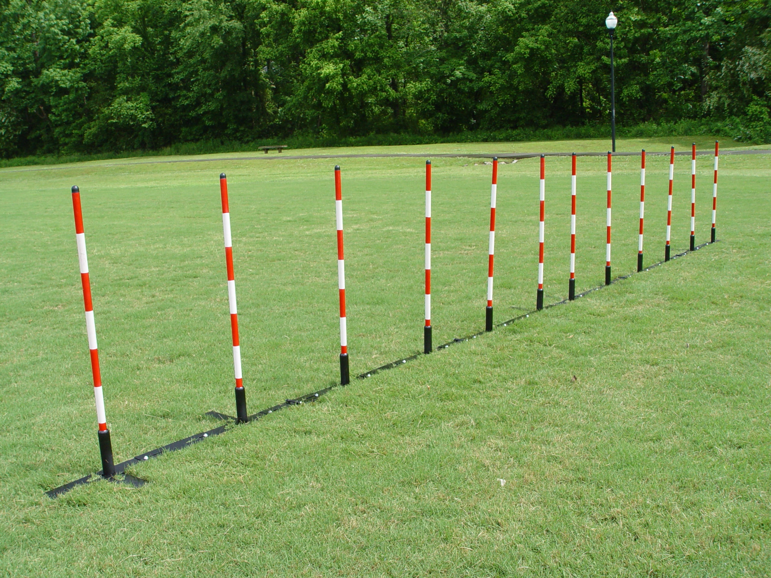 *Fixed Pole Space Weave Poles - Dog Agility USA