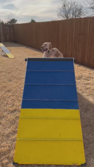 *5’ Dog Agility A-Frame, Rubber Top