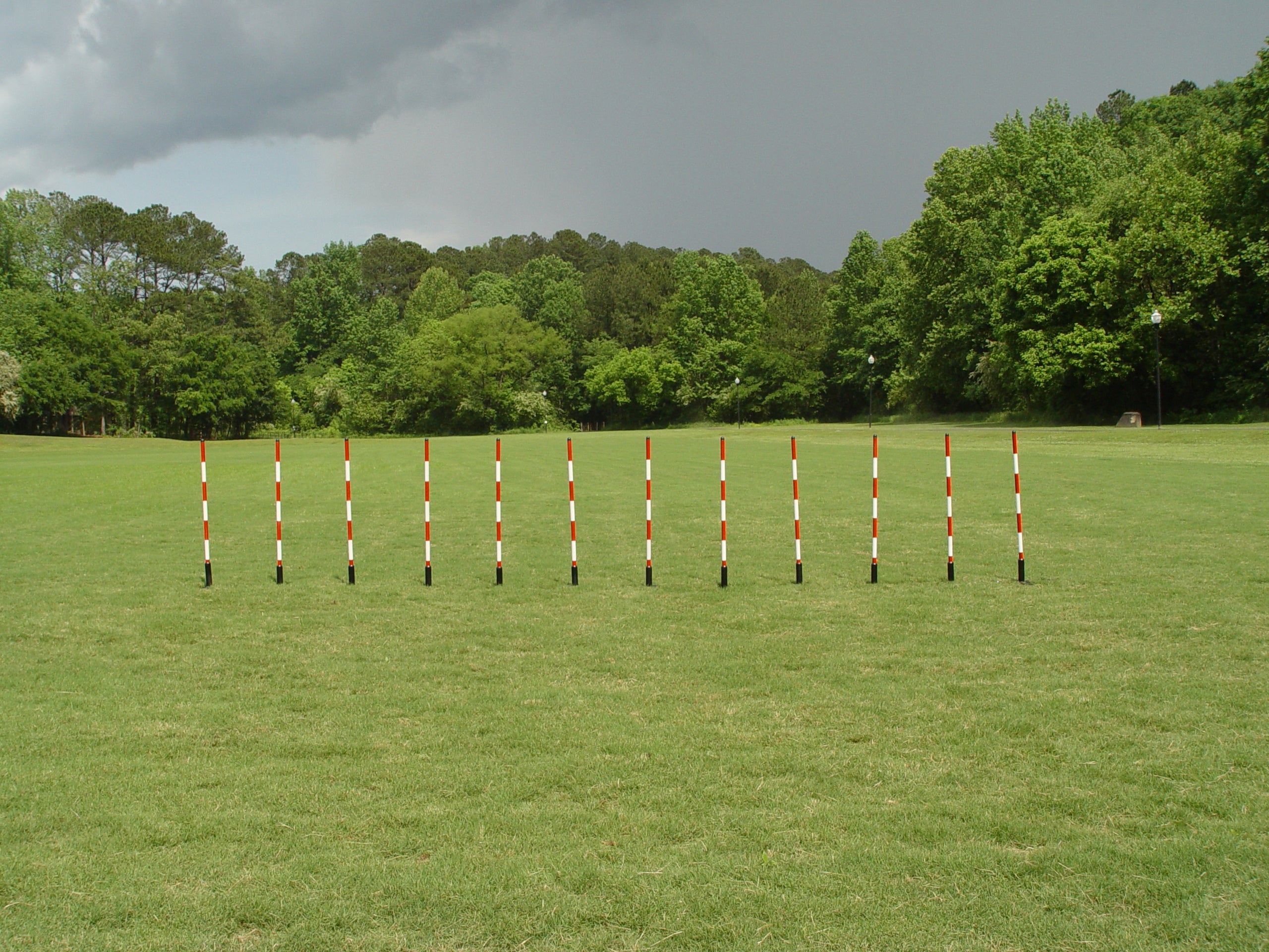 12 Pole Weave Set of 12 Poles with Adjustable Pole Spacing From 19&quot; to 25&quot; - Dog Agility USA