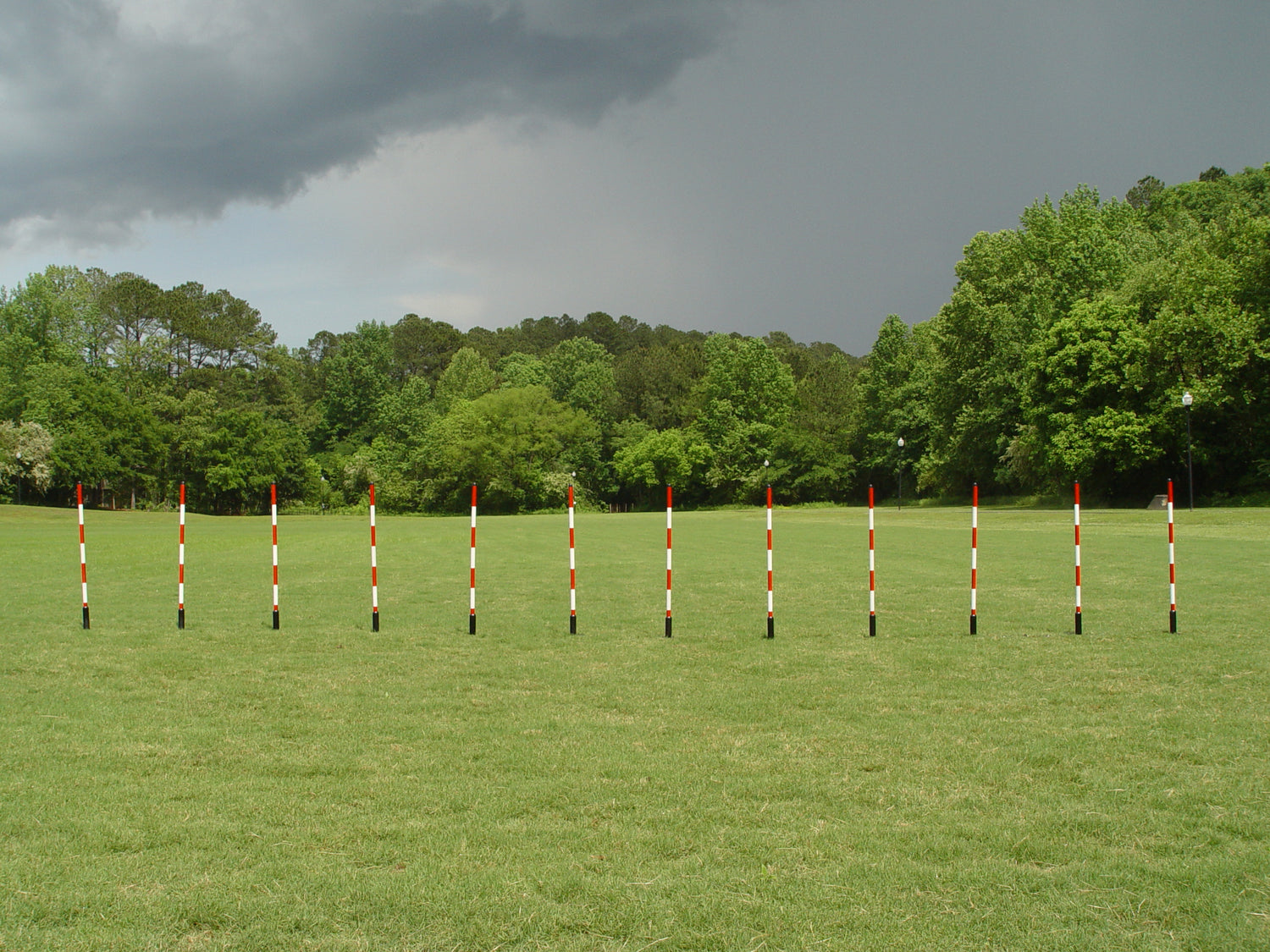 12 Pole Weave Set of 12 Poles with Adjustable Pole Spacing From 19" to 25" - Dog Agility USA