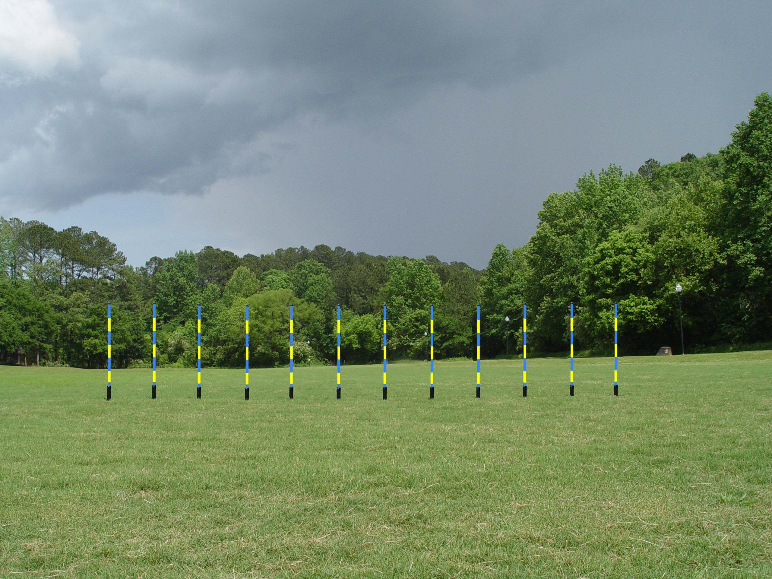 12 Pole Weave Set of 12 Poles with Adjustable Pole Spacing From 19" to 25" - Dog Agility USA