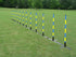 12 Pole Weave Set of 12 Poles with Adjustable Pole Spacing From 19" to 25" - Dog Agility USA