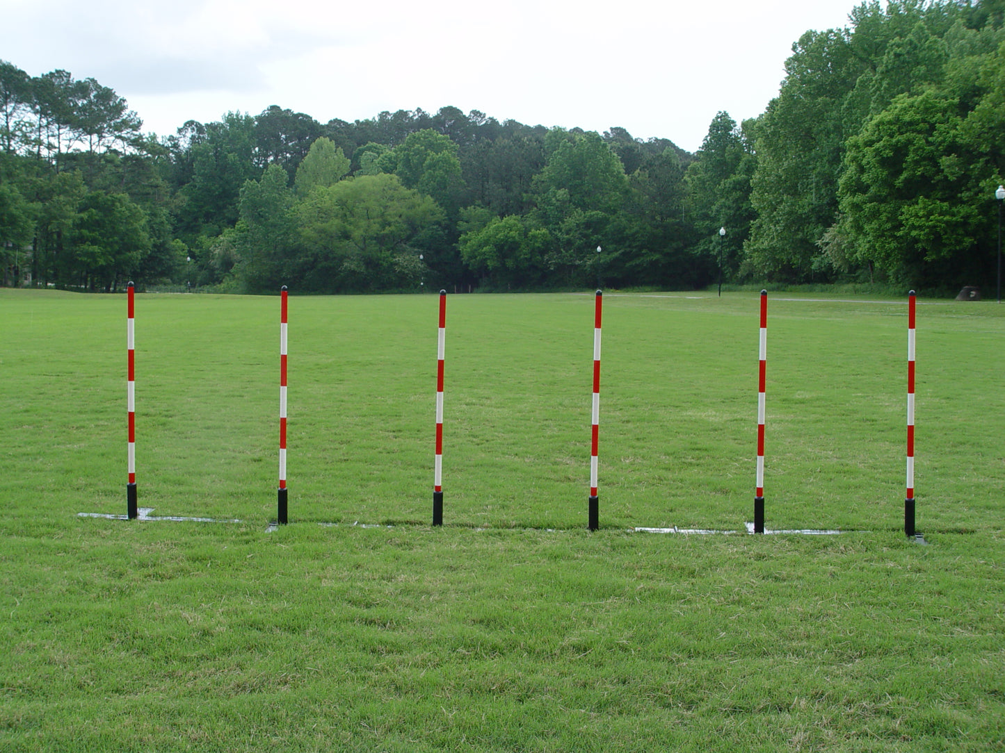 6 Pole Weave Pole Set, Fixed Pole Space - 24" Pole Space - Dog Agility USA