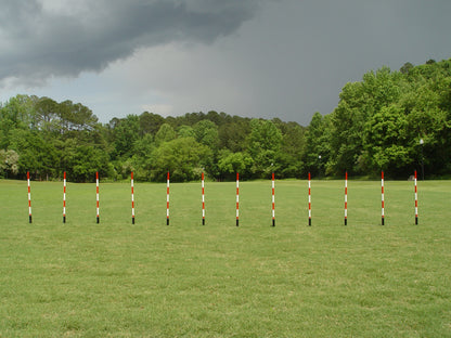 *Fixed Pole Space Weave Poles - Dog Agility USA