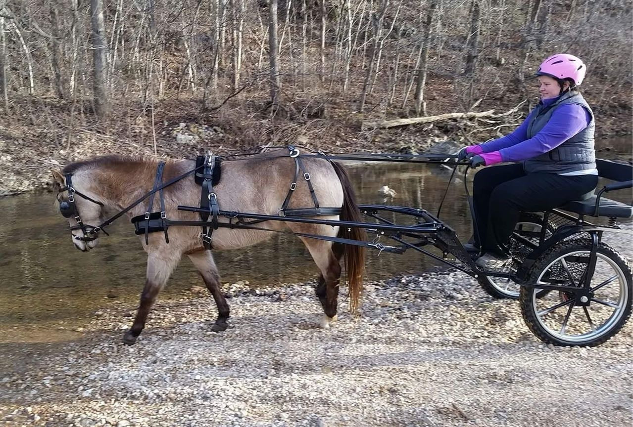 *Two-wheel Mini Carriage (mint-cart) with Hydraulic brakes for  small Ponies, Shetlands and the Miniature Horses - Dog Agility USA