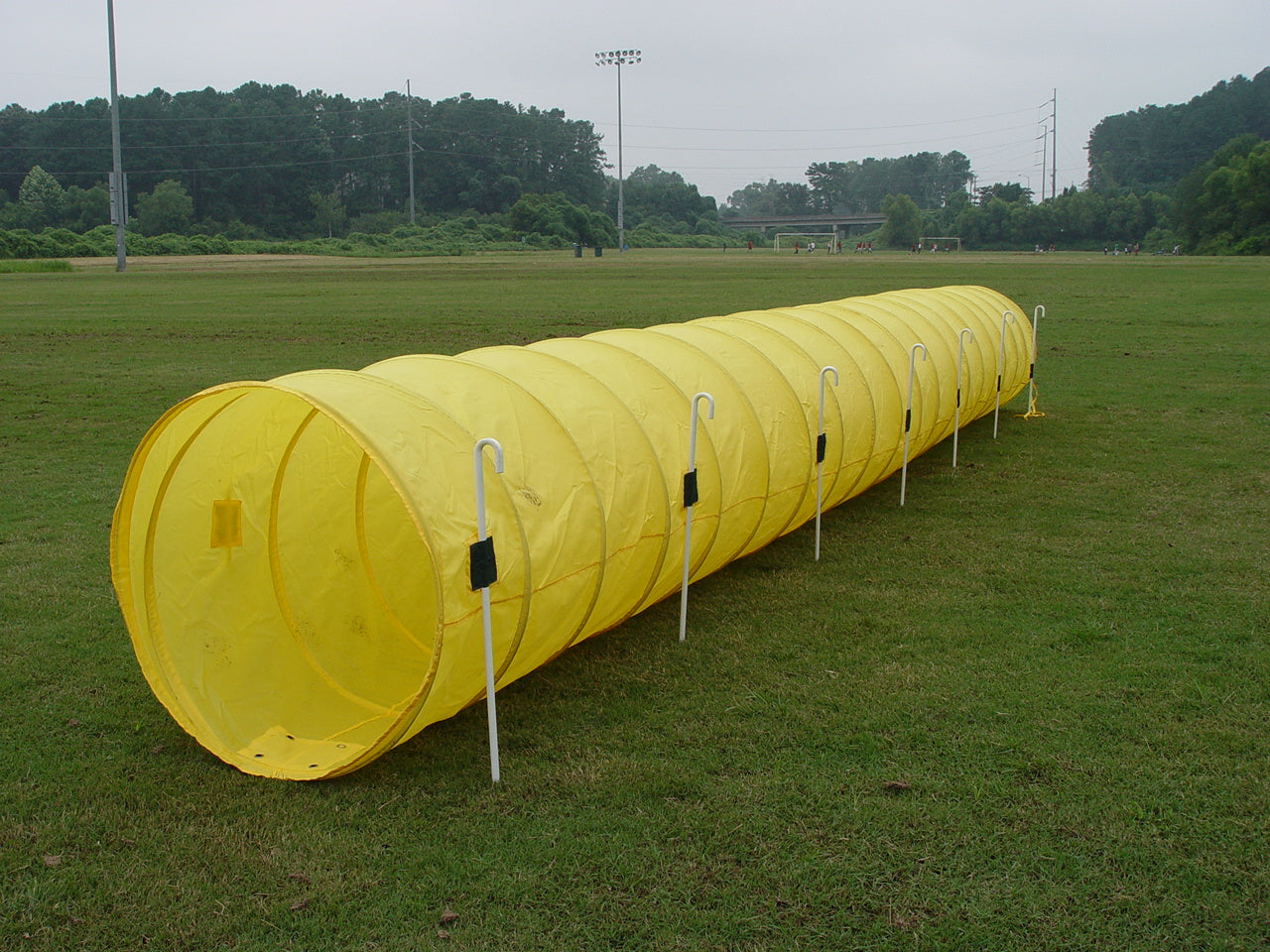 Agility Equipment Combo - Perfect Set For Starters - Dog Agility USA