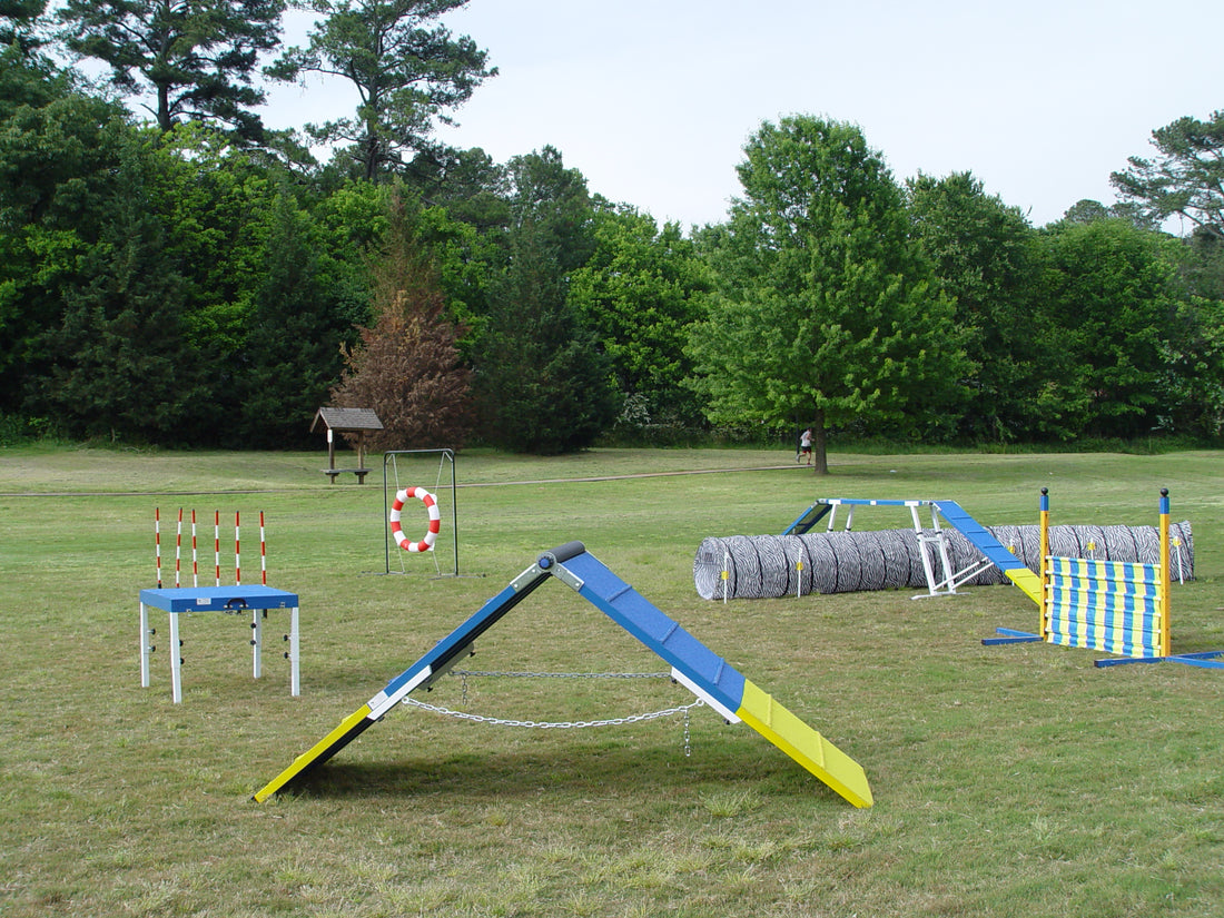 *Dog Agility Equipment Combo Sets - Dog Agility USA