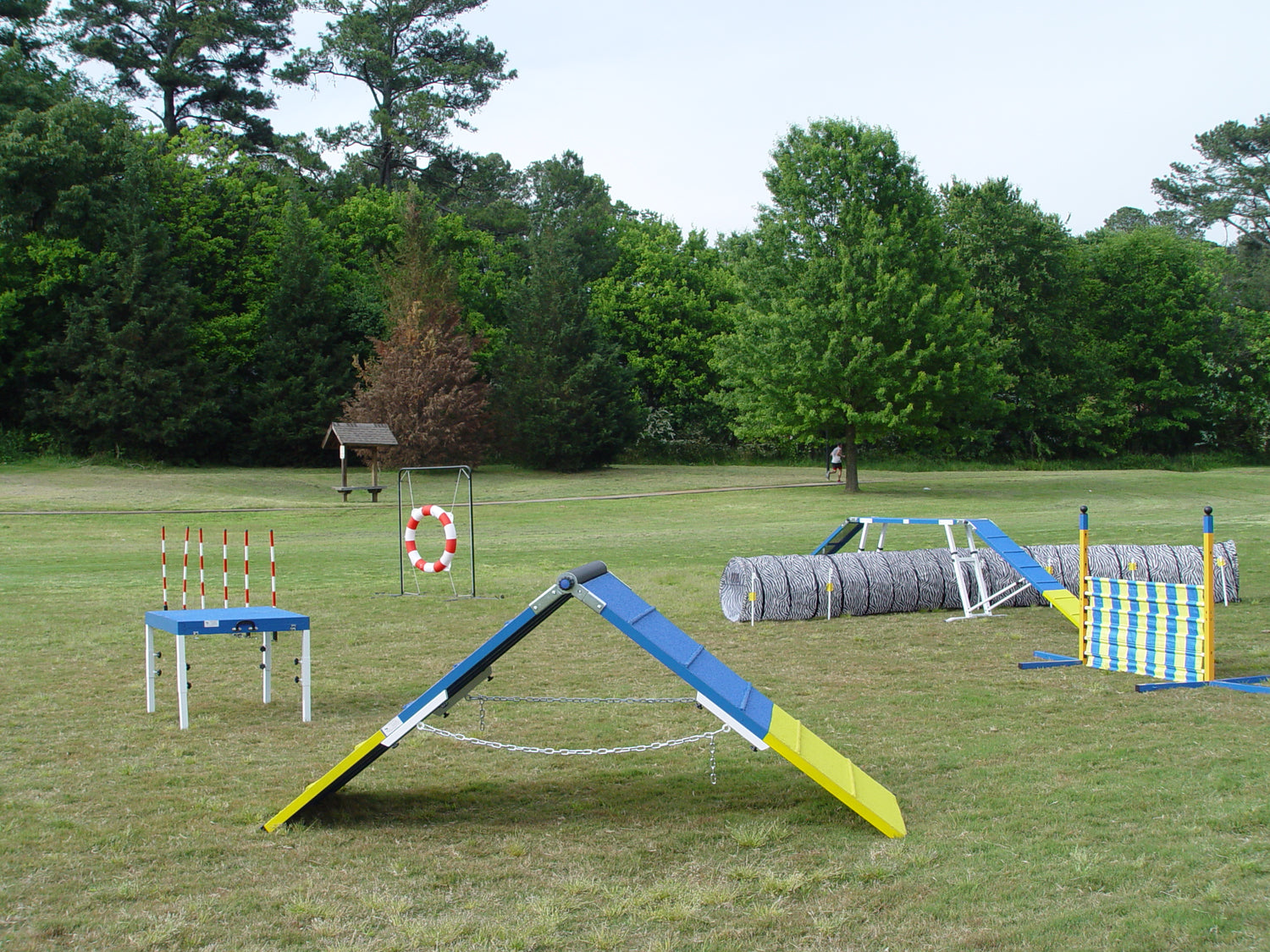 Agility Equipment Combo - Perfect Set For Starters - Dog Agility USA