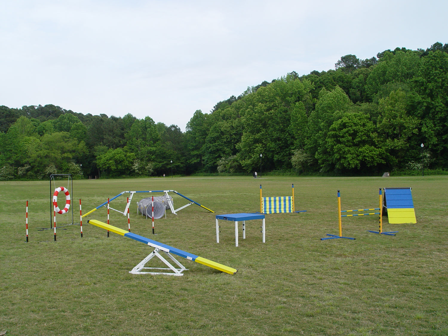 Agility Equipment Combo - Perfect Set For Starters - Dog Agility USA