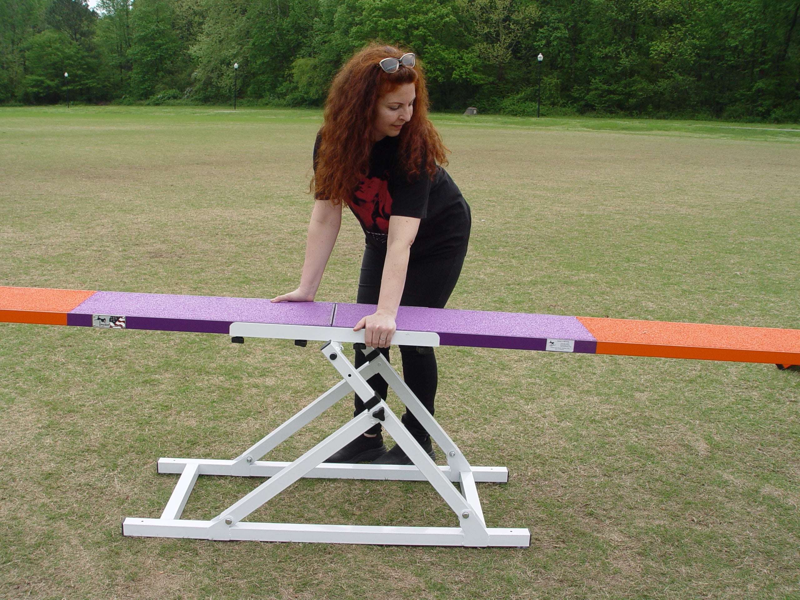 *12’ Dog Agility See-Saw, Rubber Top, Purple/Orange - Dog Agility USA