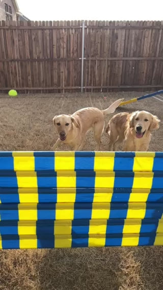 *Dog Agility Panel Jump