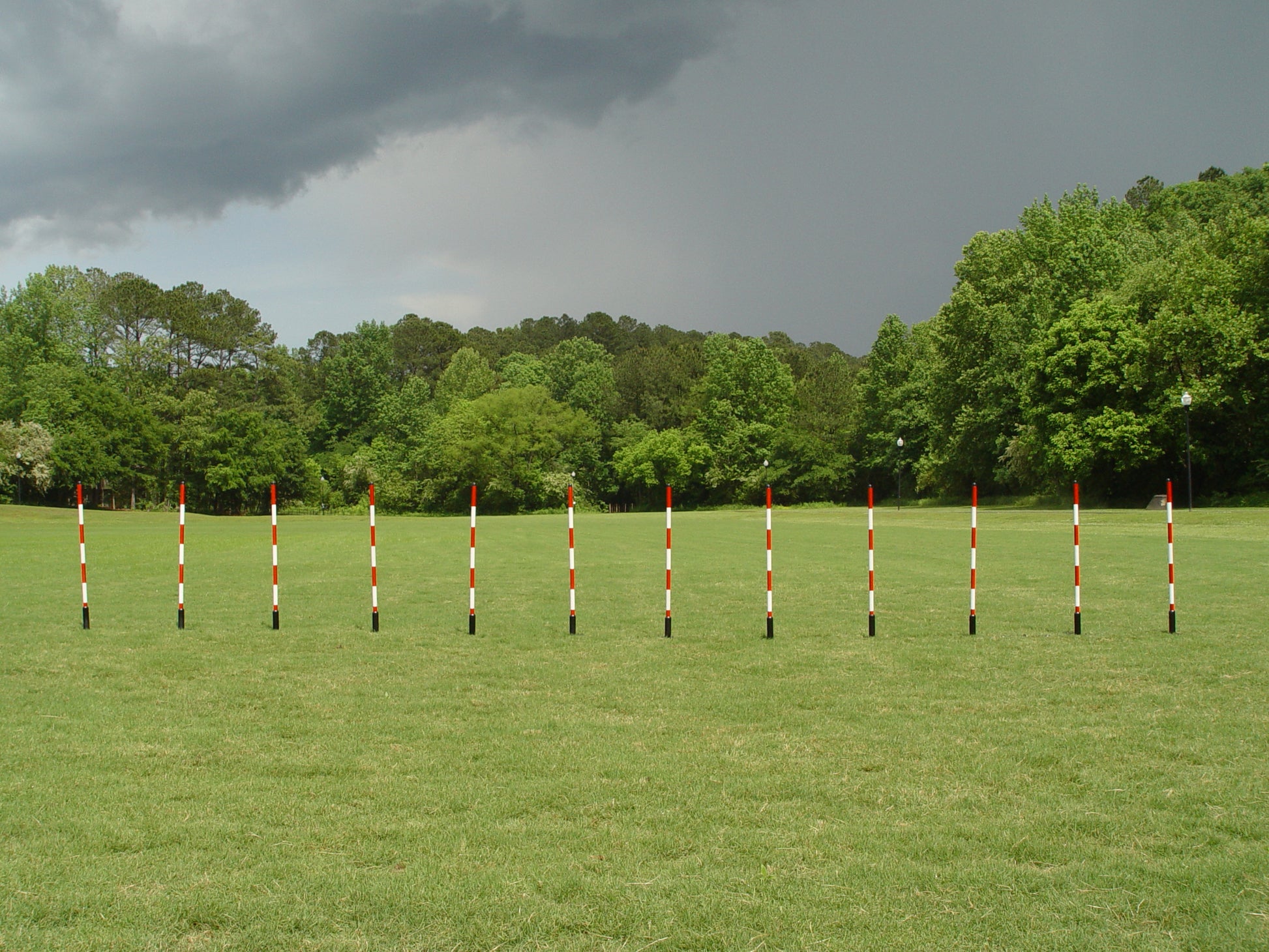 12 Pole Weave Pole Set with a Fixed Pole Space of 24" - Dog Agility USA
