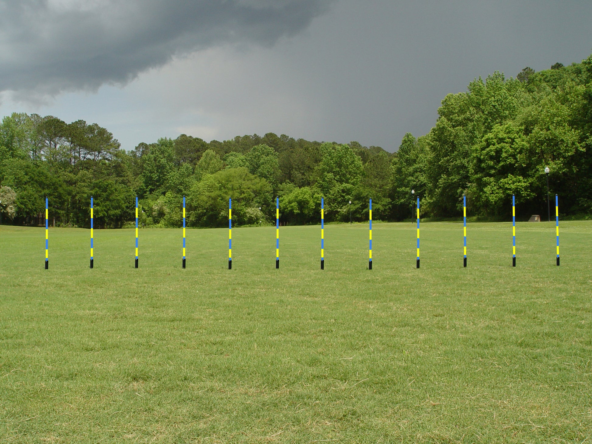 12 Pole Weave Pole Set with a Fixed Pole Space of 24" - Dog Agility USA