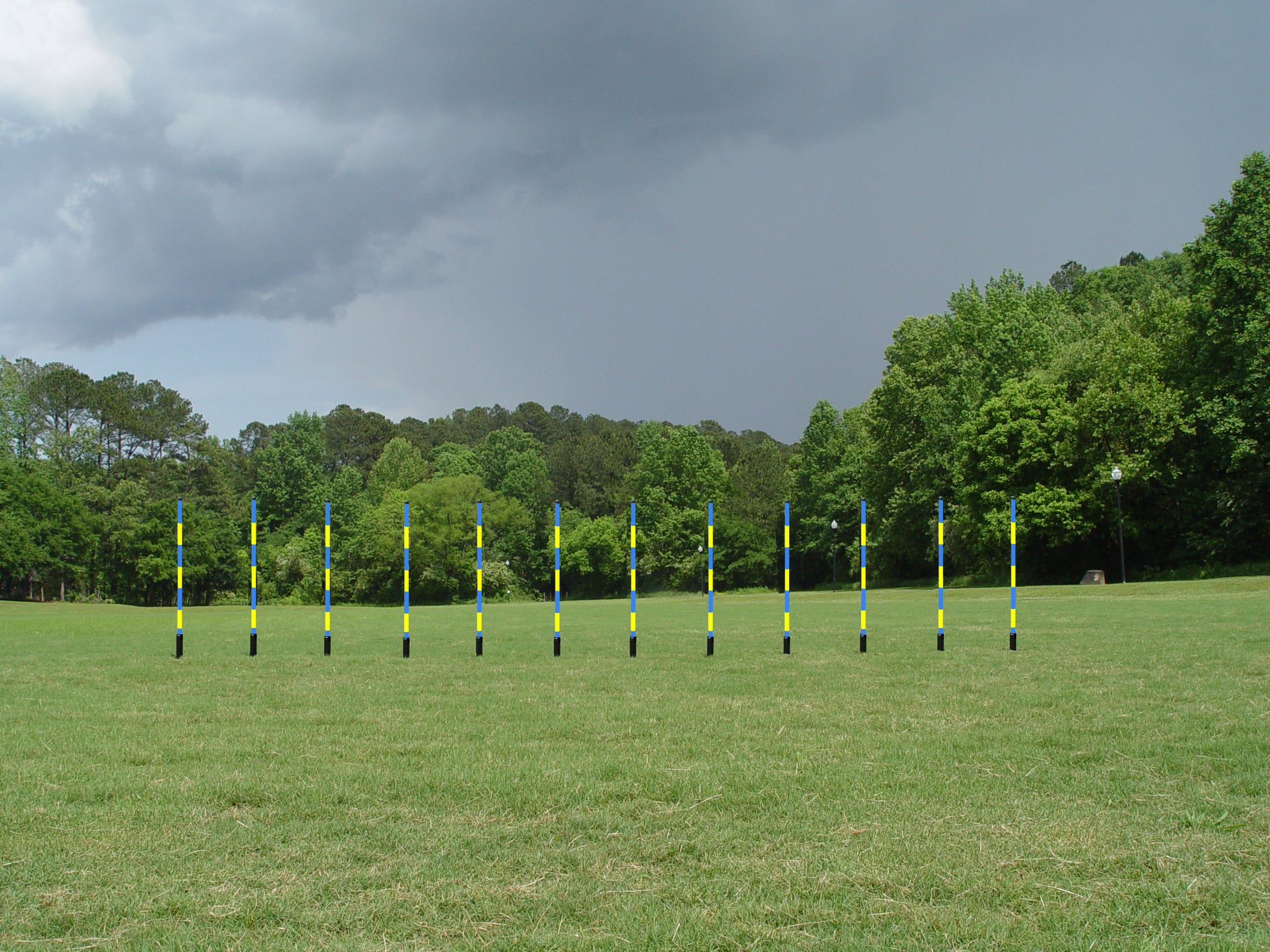 12 Pole Weave Set of 12 Poles with Adjustable Pole Spacing From 19" to 25" - Dog Agility USA