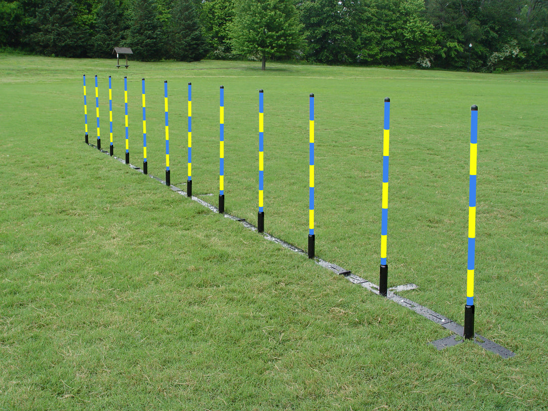 12 Pole Weave Pole Set with a Fixed Pole Space of 24&quot; - Dog Agility USA