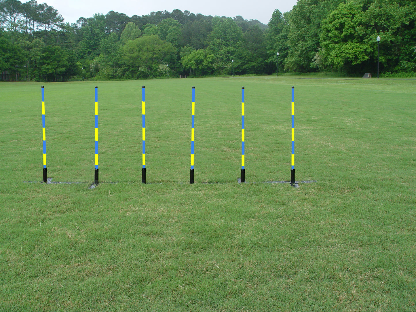 6 Pole Weave Poles with Adjustable Pole Spacing From 19" to 25" - Dog Agility USA