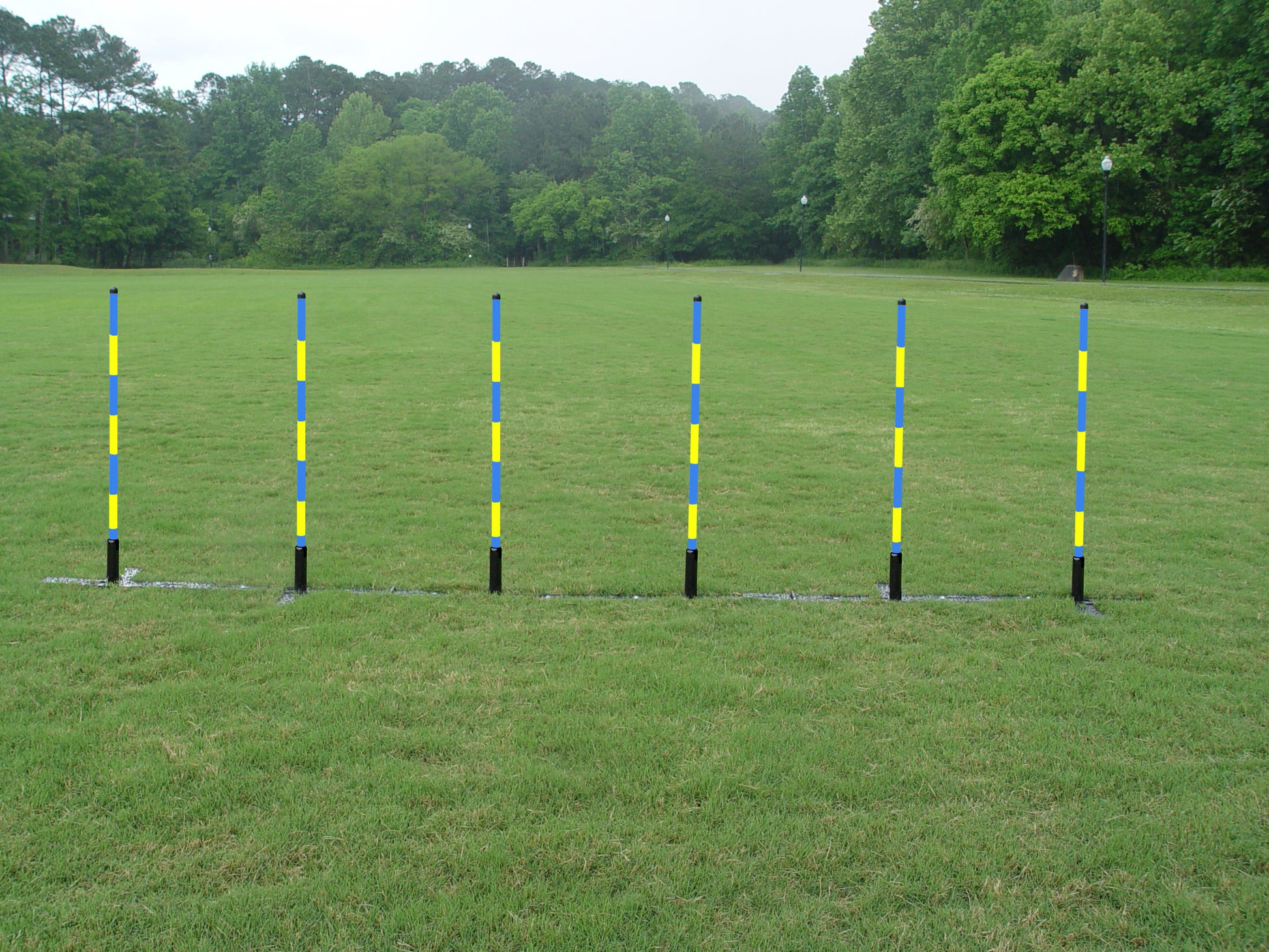 6 Pole Weave Poles with Adjustable Pole Spacing From 19" to 25" - Dog Agility USA
