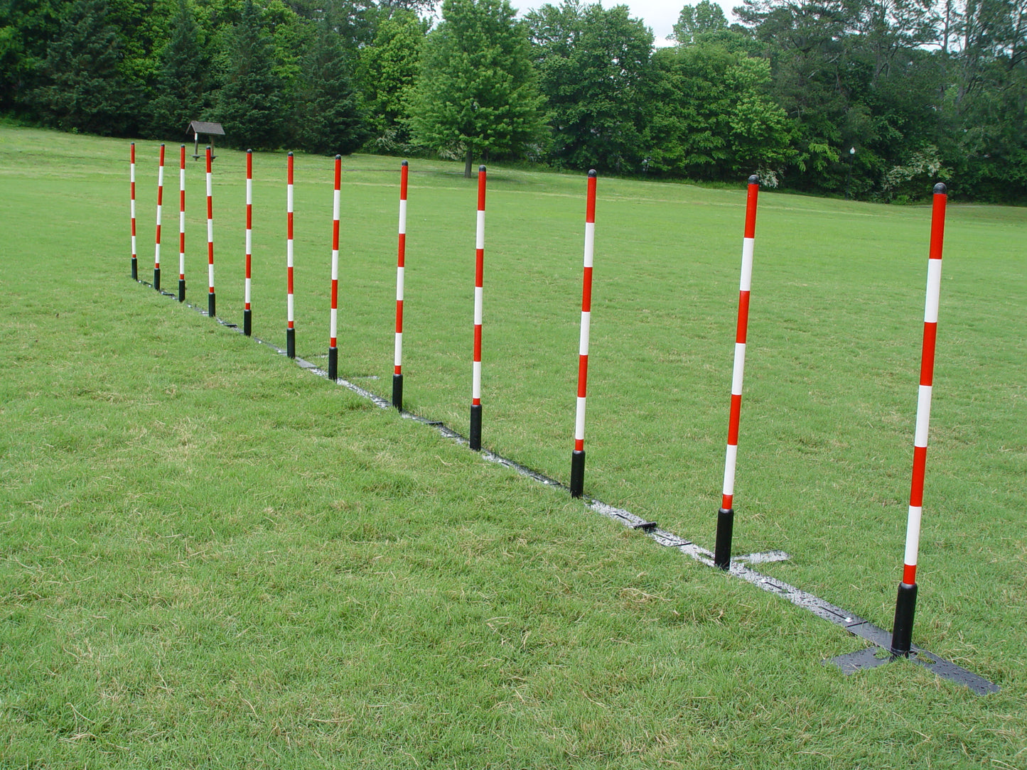12 Pole Weave Pole Set with a Fixed Pole Space of 24" - Dog Agility USA