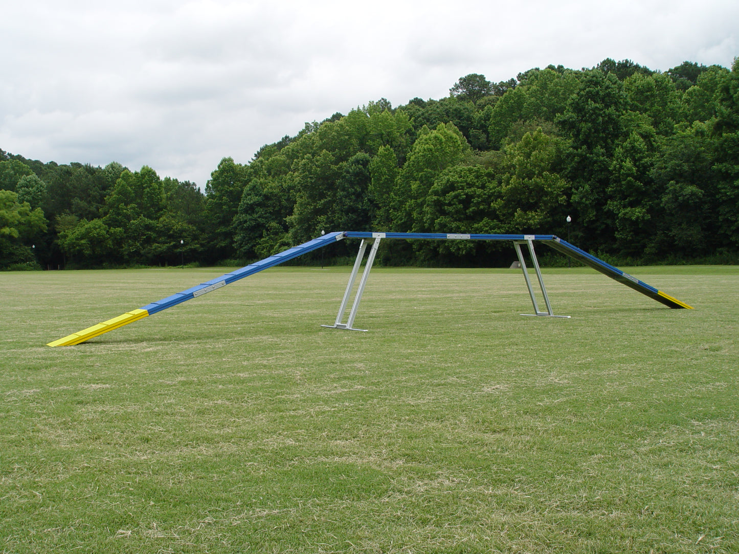Commercial Grade Dog Walk - Dog Agility USA