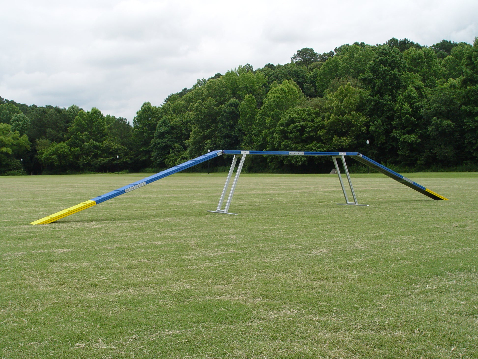 Commercial Grade Dog Walk - Dog Agility USA