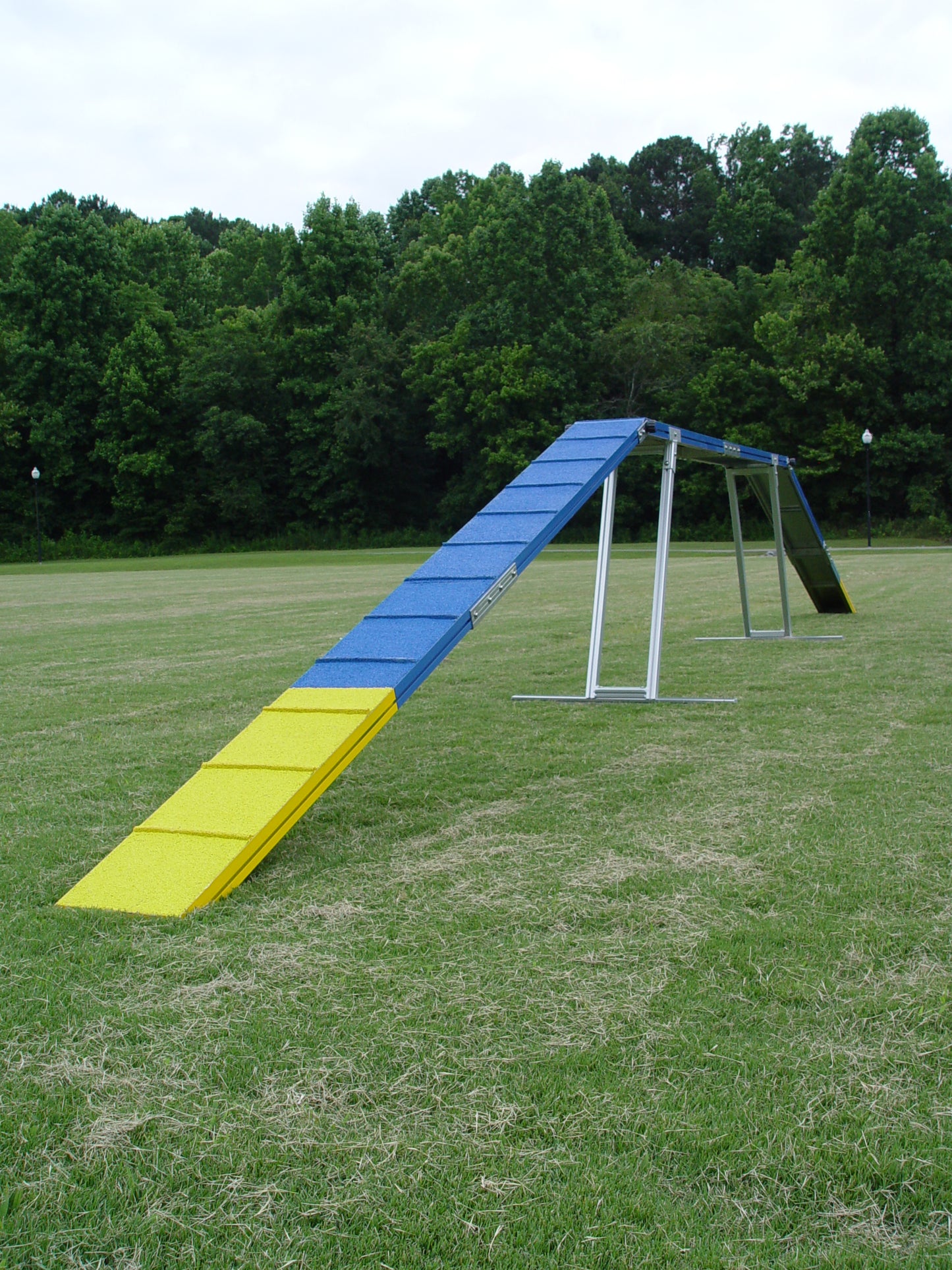 Commercial Grade Dog Walk - Dog Agility USA
