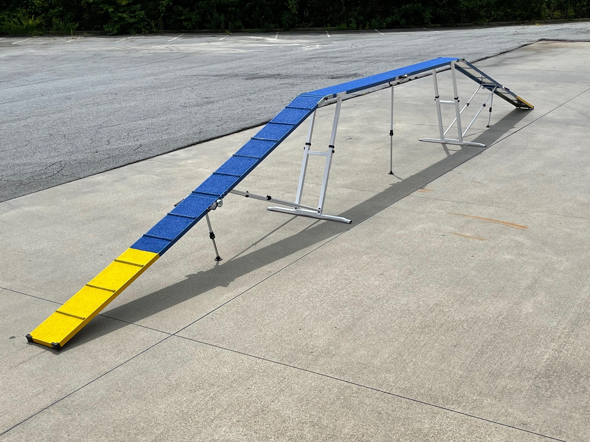 12' Dog Walk with Rubber Surface - Dog Agility USA